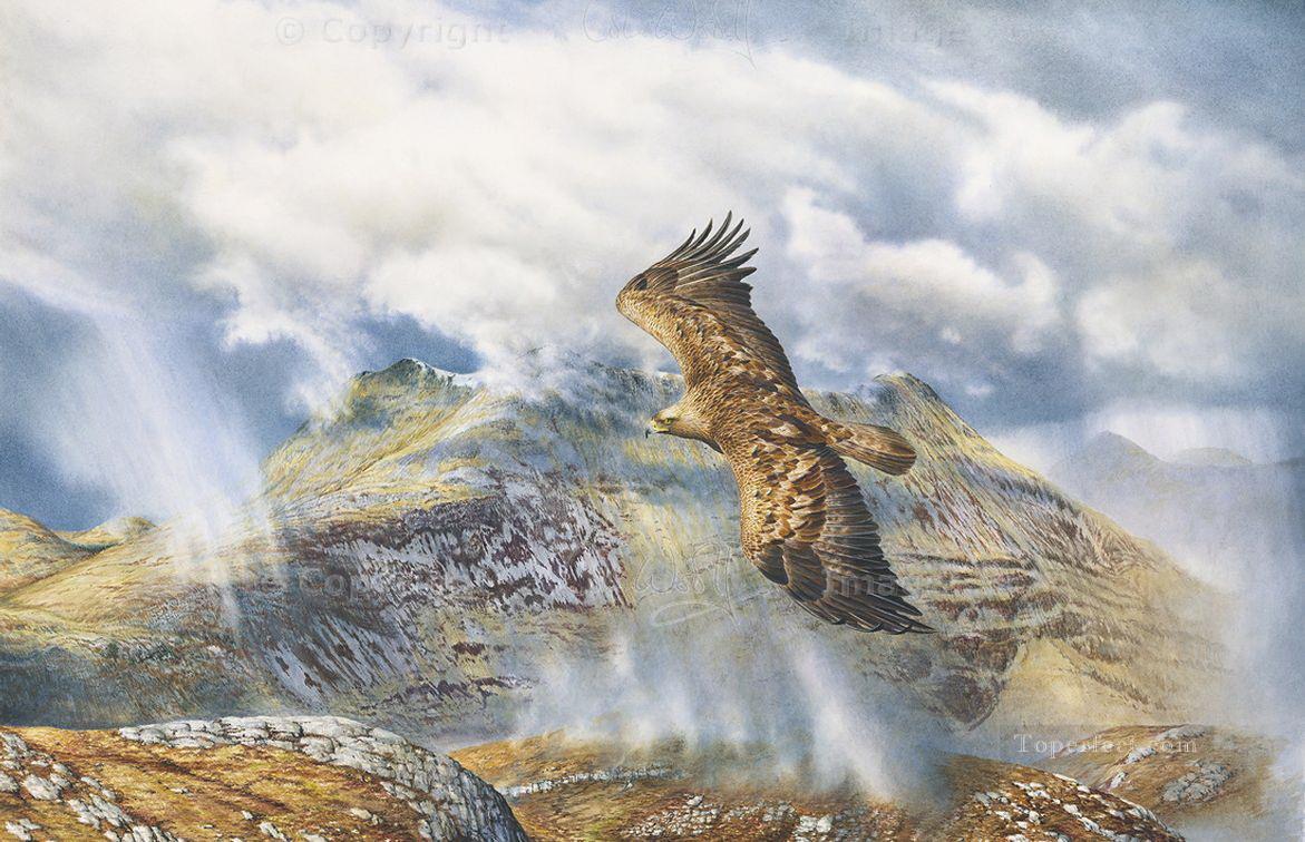 Golden Eagle über Arnisdale Vögel Ölgemälde
